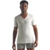 Icebreaker Men's Merino Anatomica Short Sleeve V Neck T-Shirt