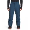 The North Face Men's Freedom Pant