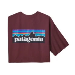 Patagonia Men's P-6 Logo Responsibili-Tee -Pranas Clothing Store WBF21 38504 DAK