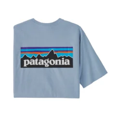 Patagonia Men's P-6 Logo Responsibili-Tee -Pranas Clothing Store WBF22 38504 STME